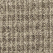 あづみ野木綿 反物