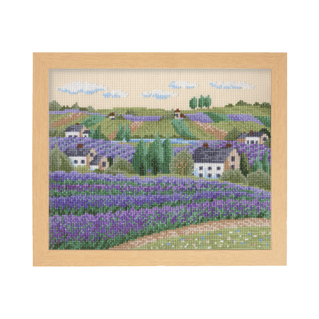 No.7311 Lavender field