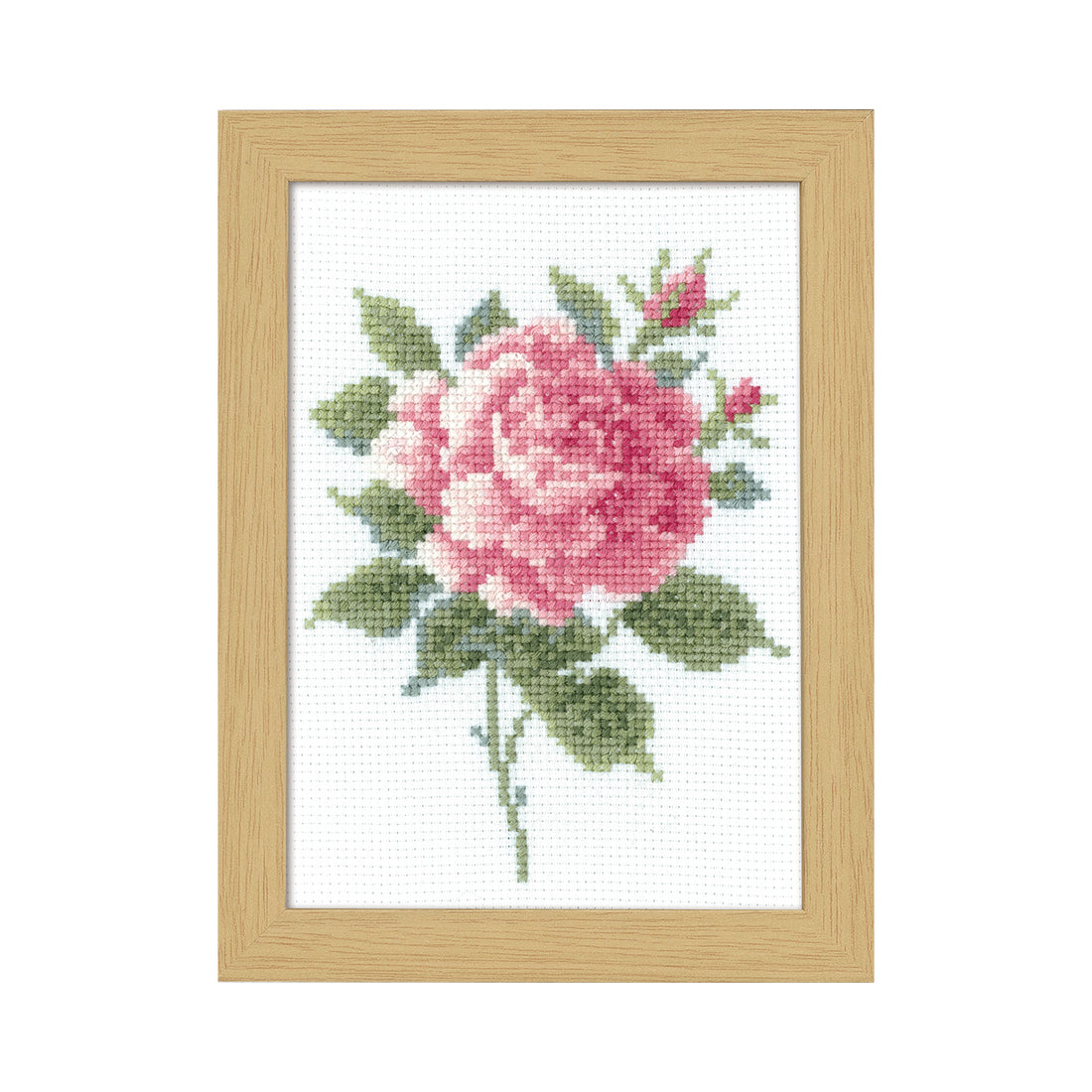 No.7511 May Pink Rose