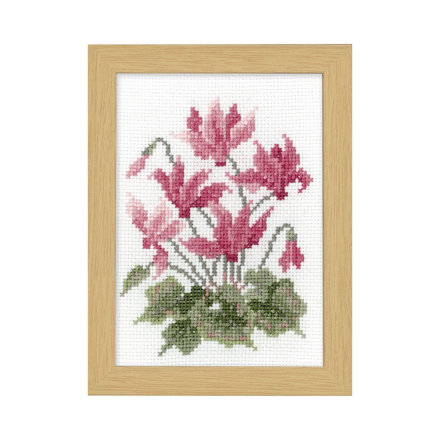 No.7518 November Cyclamen