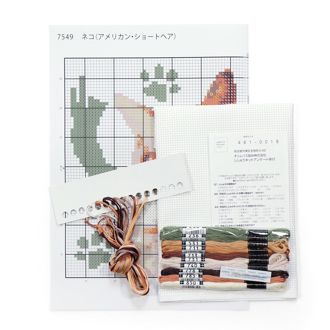 No.7549 Cat (American Shorthair)