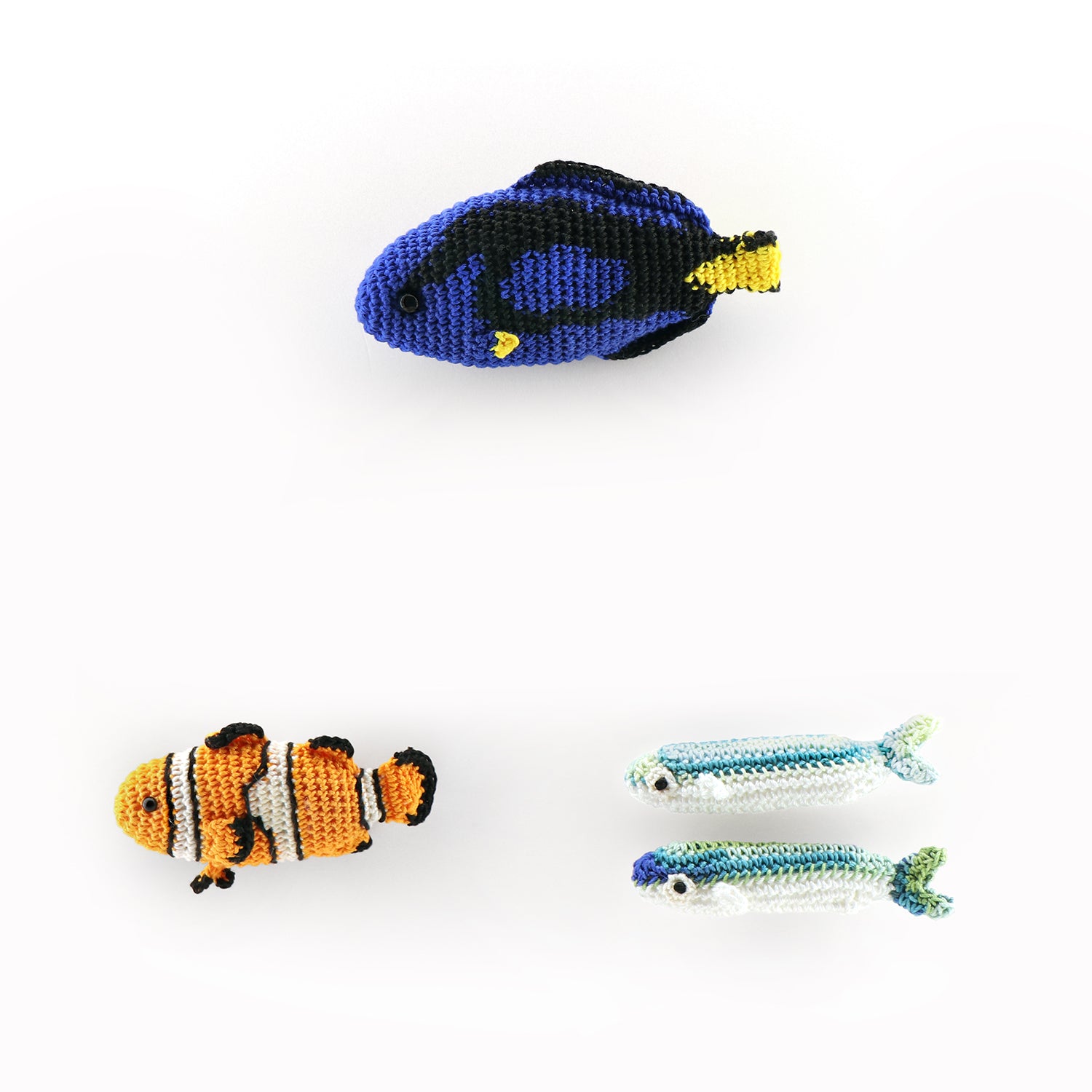 EG-131 クマノミと泳ぐ海