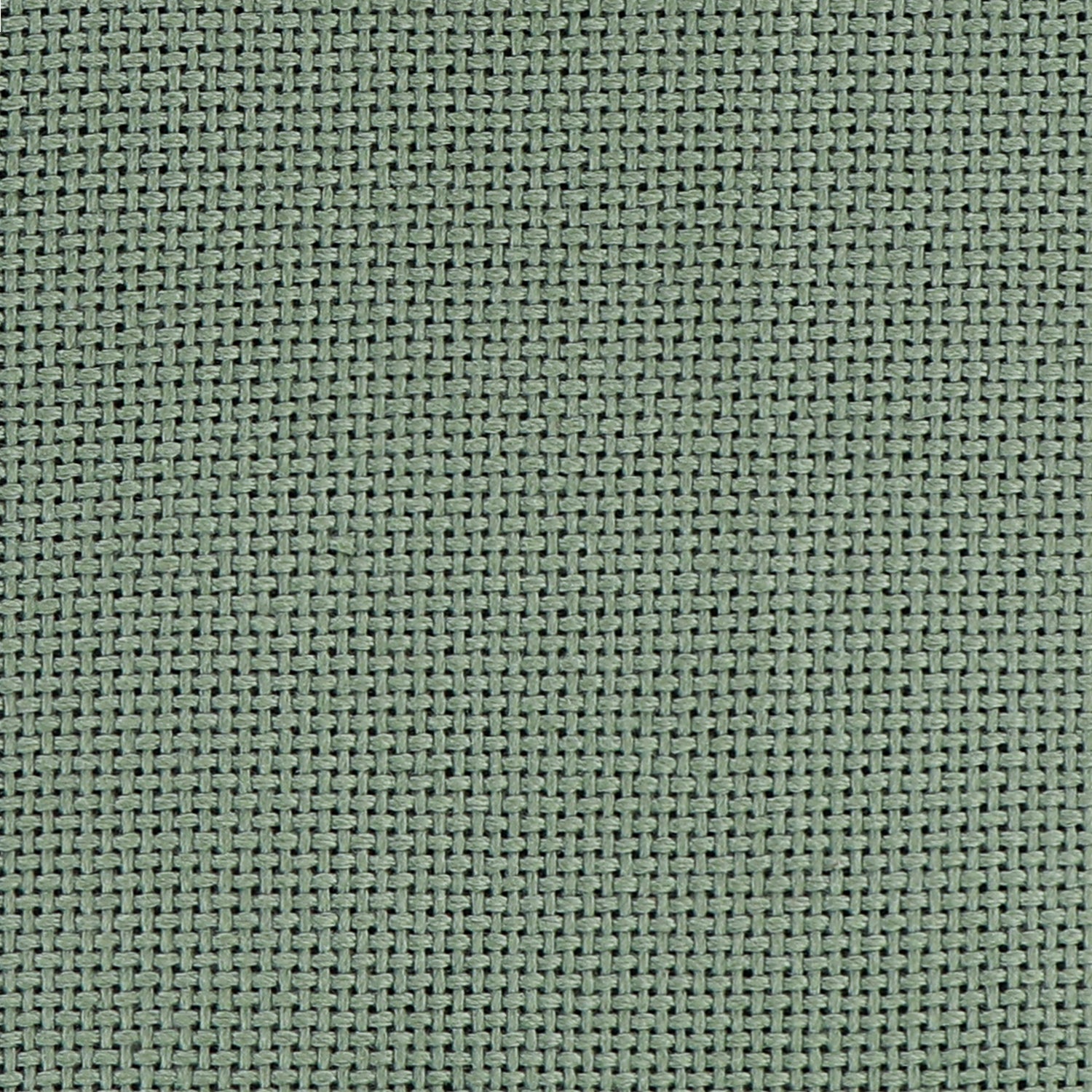 STITCH CLOTH No.1100 コングレス