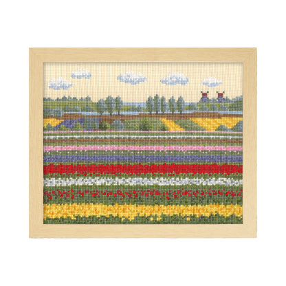 No.7361 Tulip field (Netherlands)