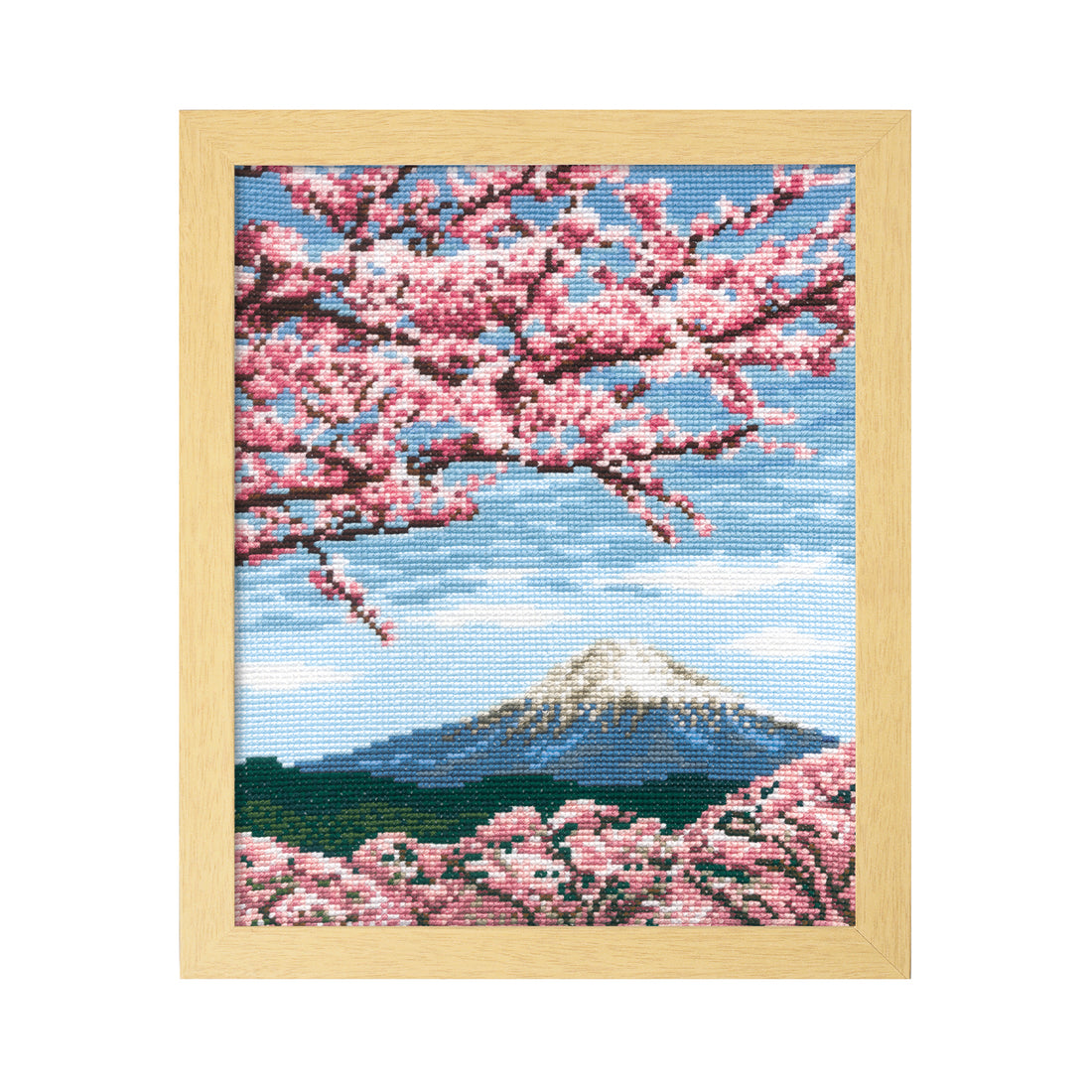 No.7386 Cherry blossoms and Mt. Fuji