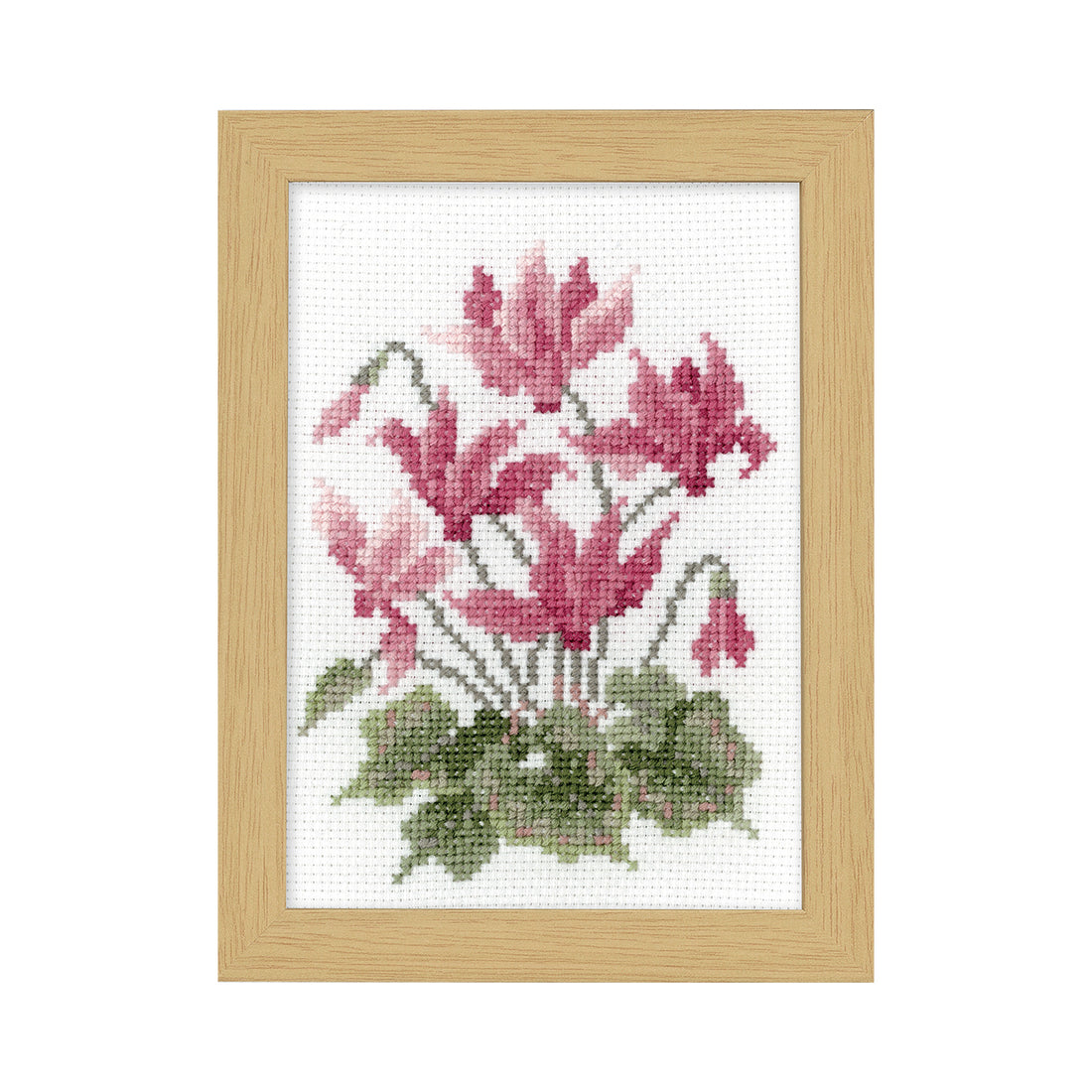 No.7518 November Cyclamen