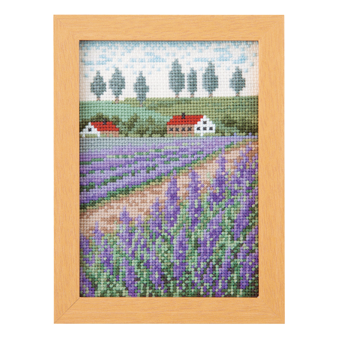 No.7547 July Lavender field