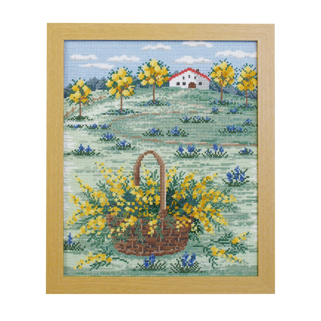 NO.7576 Mimosa-colored hills in early spring in France