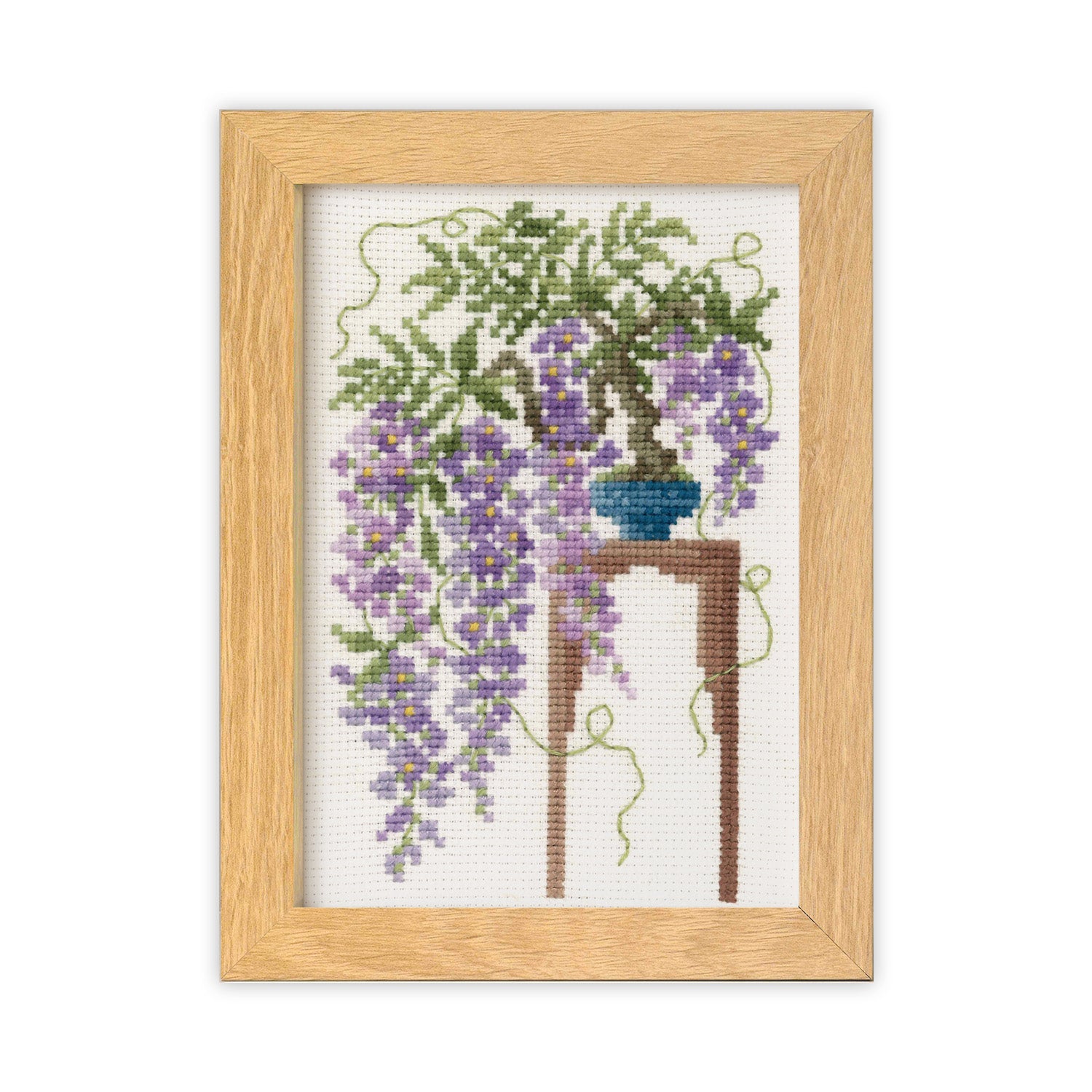 No.7615 April  Wisteria