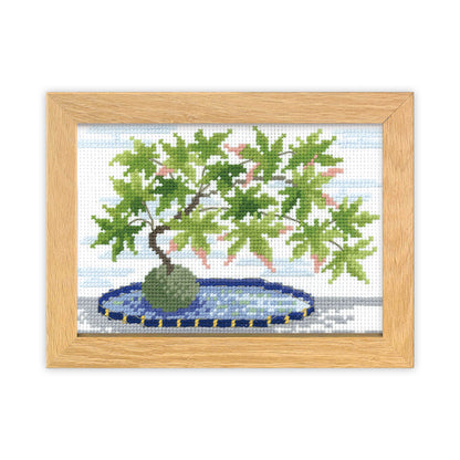 Embroidery kit